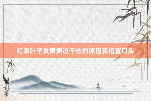 红掌叶子发黄焦边干枯的原因及措置口头