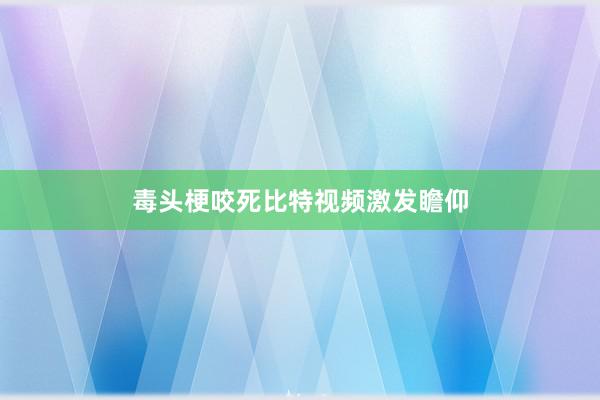 毒头梗咬死比特视频激发瞻仰