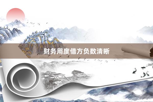 财务用度借方负数清晰