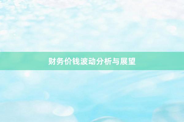 财务价钱波动分析与展望